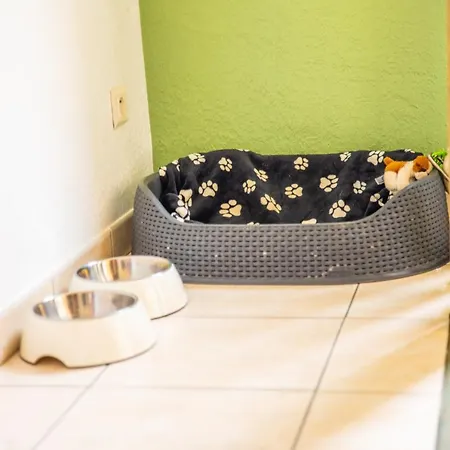 Thermal A 2 Min -le 1909- 8 Pers- Parking Chez Julie アパート *